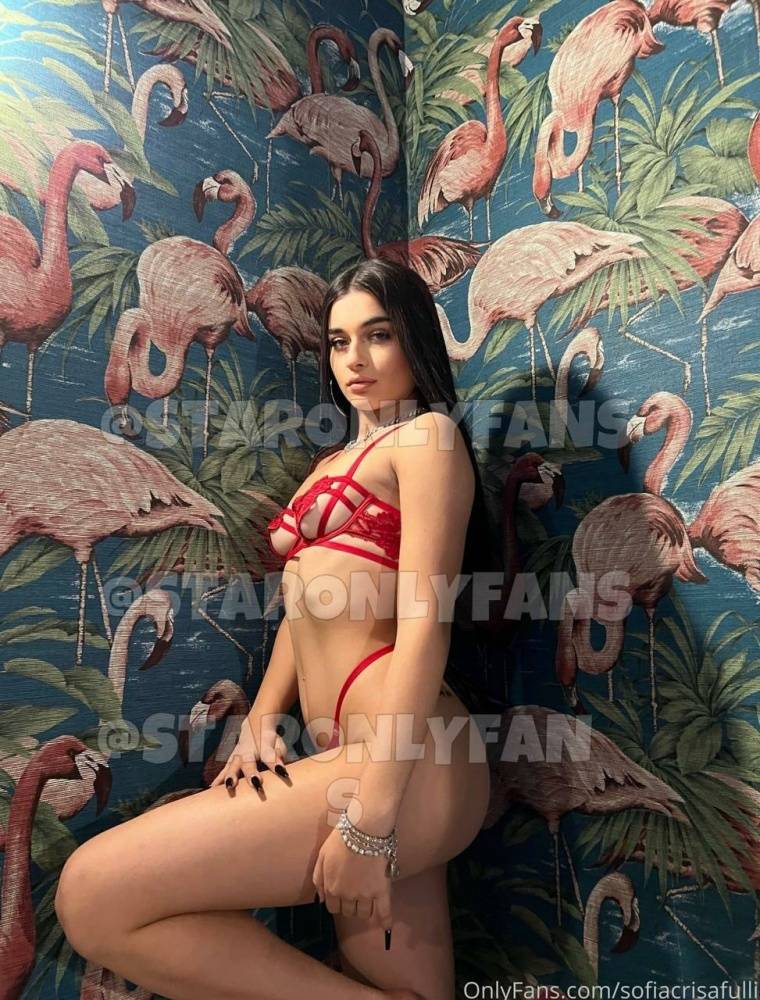 Sofia Crisafulli (sofiacrisafulli) Nude OnlyFans Leaks (43 Photos) - #5