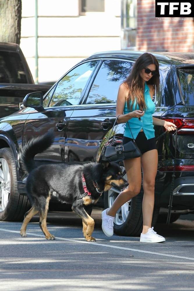 Leggy Emily Ratajkowski Takes Her Dog For a Stroll in New York City - #25