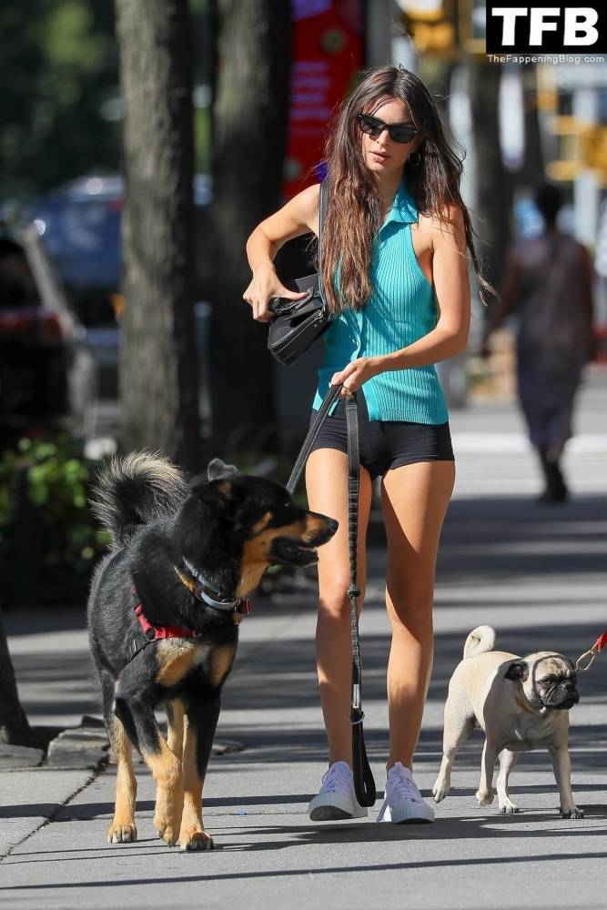 Leggy Emily Ratajkowski Takes Her Dog For a Stroll in New York City - #16