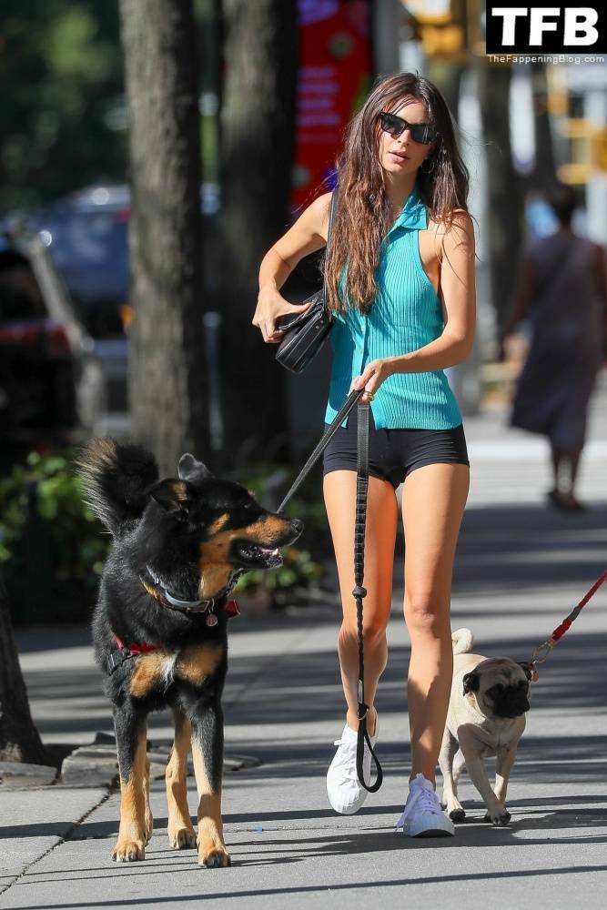 Leggy Emily Ratajkowski Takes Her Dog For a Stroll in New York City - #24