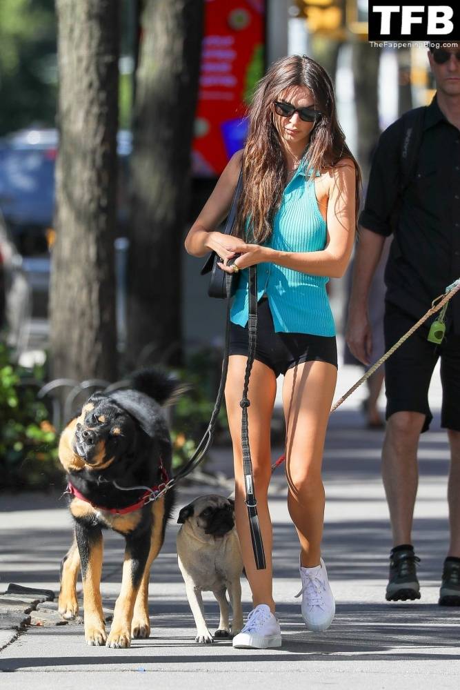 Leggy Emily Ratajkowski Takes Her Dog For a Stroll in New York City - #22