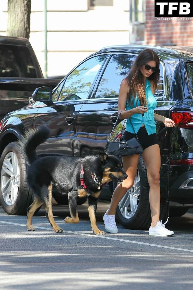 Leggy Emily Ratajkowski Takes Her Dog For a Stroll in New York City - #8