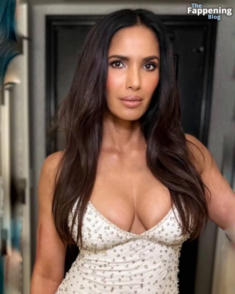 Padma Lakshmi Sexy (6 Photos) - #2