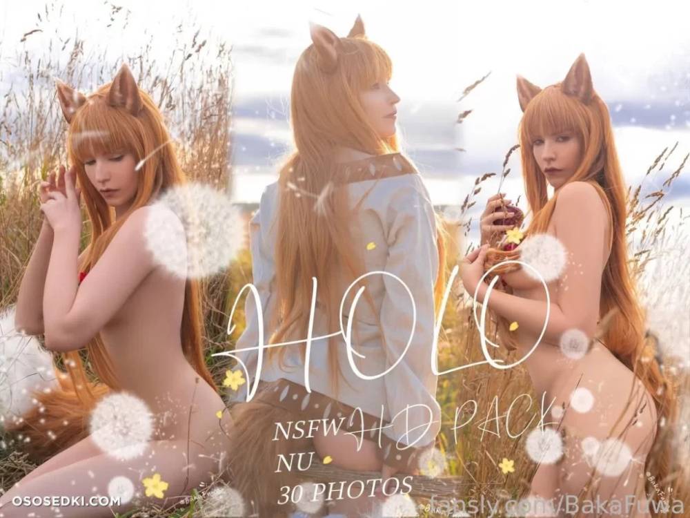 Baka Fuwa – Holo – Spice And Wolf | Ookami To Koushinryou - #1