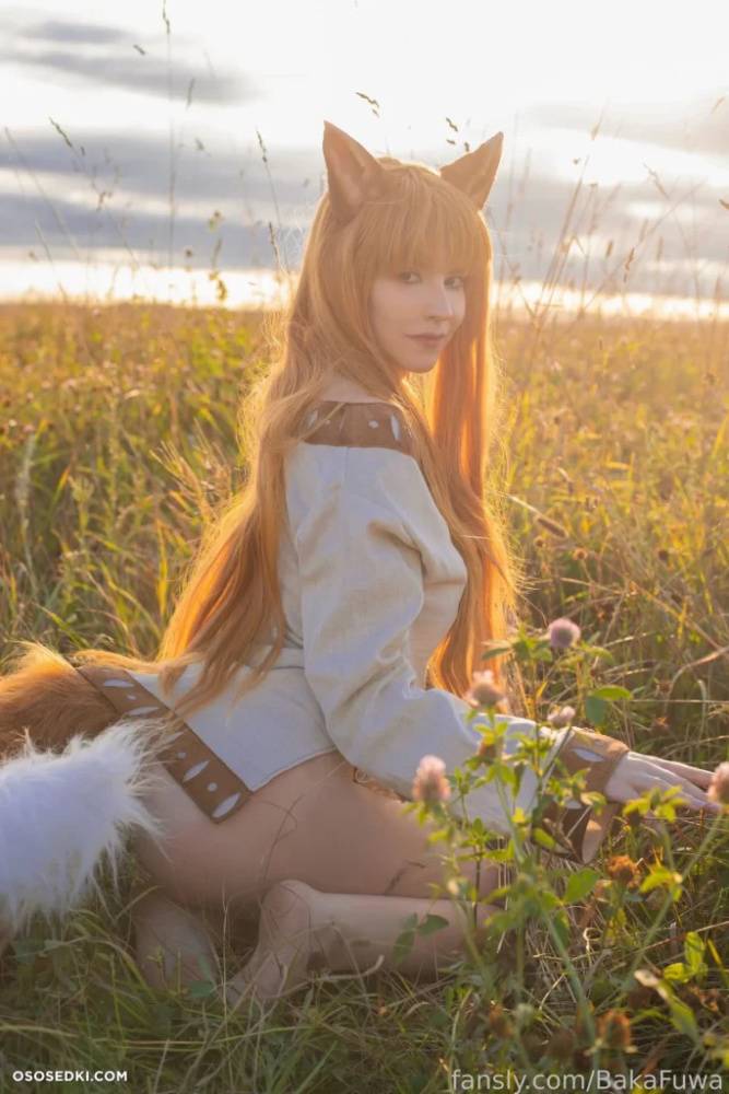 Baka Fuwa – Holo – Spice And Wolf | Ookami To Koushinryou - #2