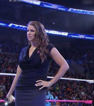 Stephanie McMahon / stephaniemcmahon Nude Leaks - Fapello - #30