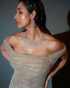 Malaika Arora / malaikaaroraofficial Nude Leaks - Fapello - #9