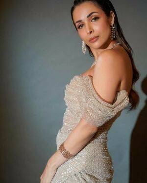 Malaika Arora / malaikaaroraofficial Nude Leaks - Fapello - #11