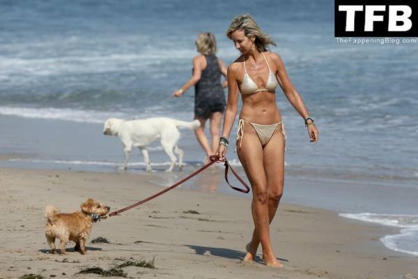Lady Victoria Hervey Takes Her Norfolk Terrier D 19Artagnan For Beach Stroll in Malibu on dailyfans.net
