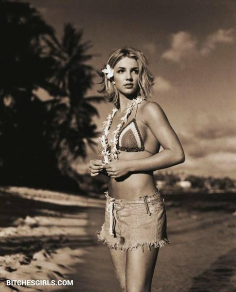 Britney Spears Nude Celebrities - Britney Nude Videos Celebrities on dailyfans.net