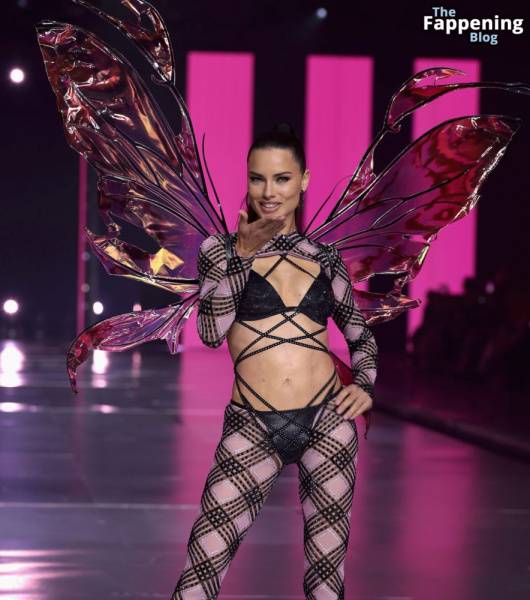 Adriana Lima Stuns at the Victoria’s Secret Fashion Show (80 New Photos) - city Lima on dailyfans.net